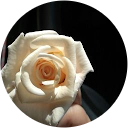 Ayesha Irfan profile picture