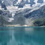 Gallery Thumbnail 1