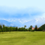 Gallery Thumbnail 2