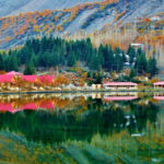 Gallery Thumbnail 2