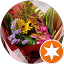 Asma A.N profile picture