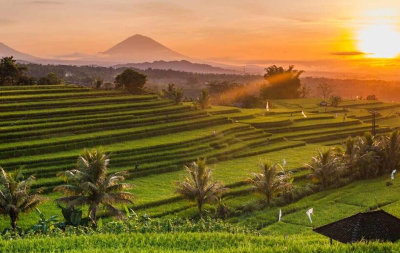 5 Days Bali (Beach)